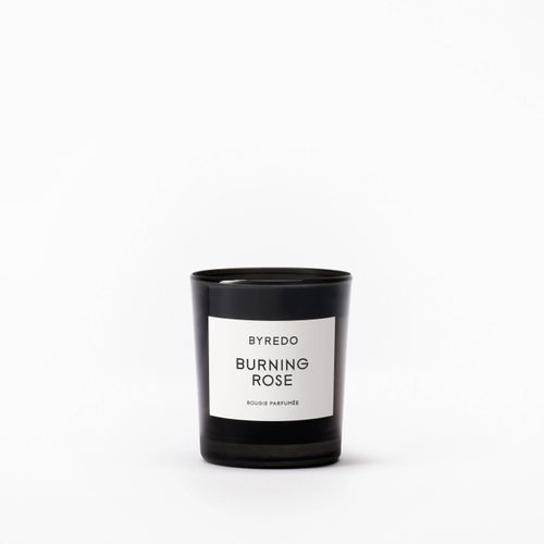 Burning Rose