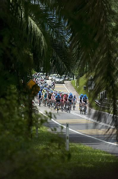 The peloton in search of the leading quartet.