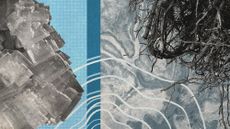 Photo collage of salt crystals, satellite image of a marsh, tree roots, and wavy lines