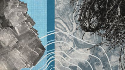 Photo collage of salt crystals, satellite image of a marsh, tree roots, and wavy lines
