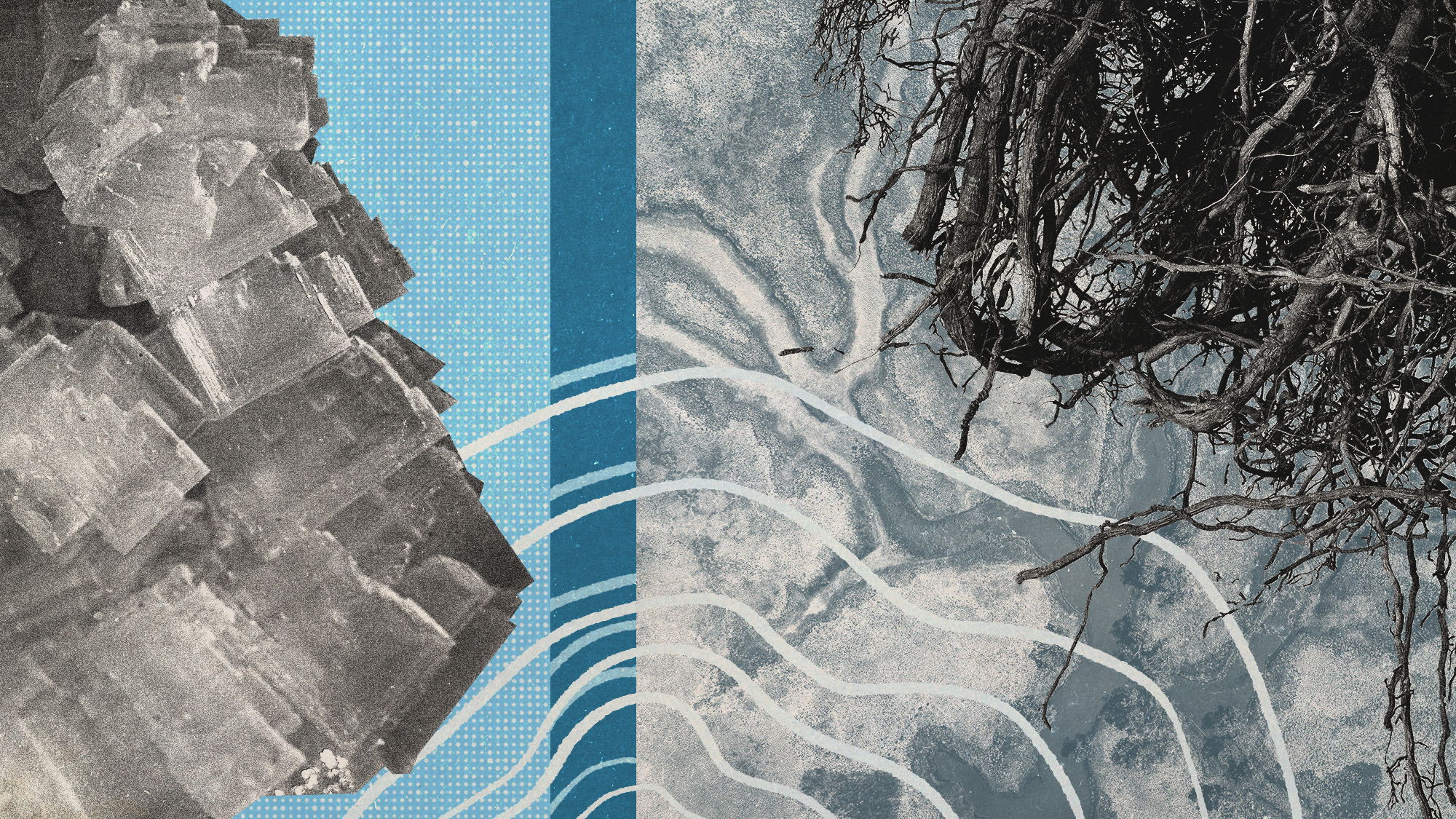 Photo collage of salt crystals, satellite image of a marsh, tree roots, and wavy lines