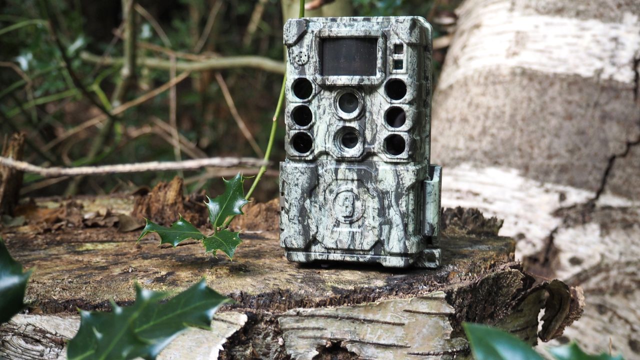 Bushnell CORE DS-4K No Glow trail camera review