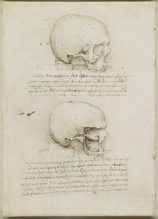 Leonardo da Vinci made anatomical drawings of the human skull in 1489. These sketches, acquired by English King Charles II, are now housed in Britain's Royal Collection in Windsor.