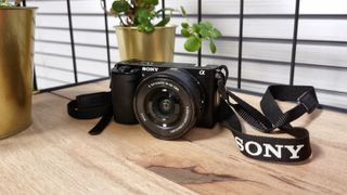 A photo of the Sony ZV-E10 camera on a wooden desk with some plants 