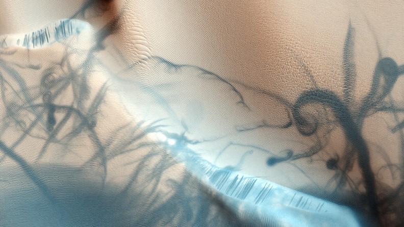 Dust devils captured by the HiRISE camera on board the Mars Reconnaissance Orbiter.