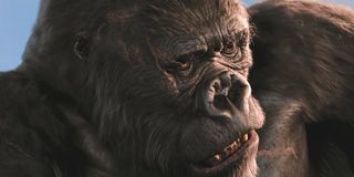 King Kong with a familiar expression
