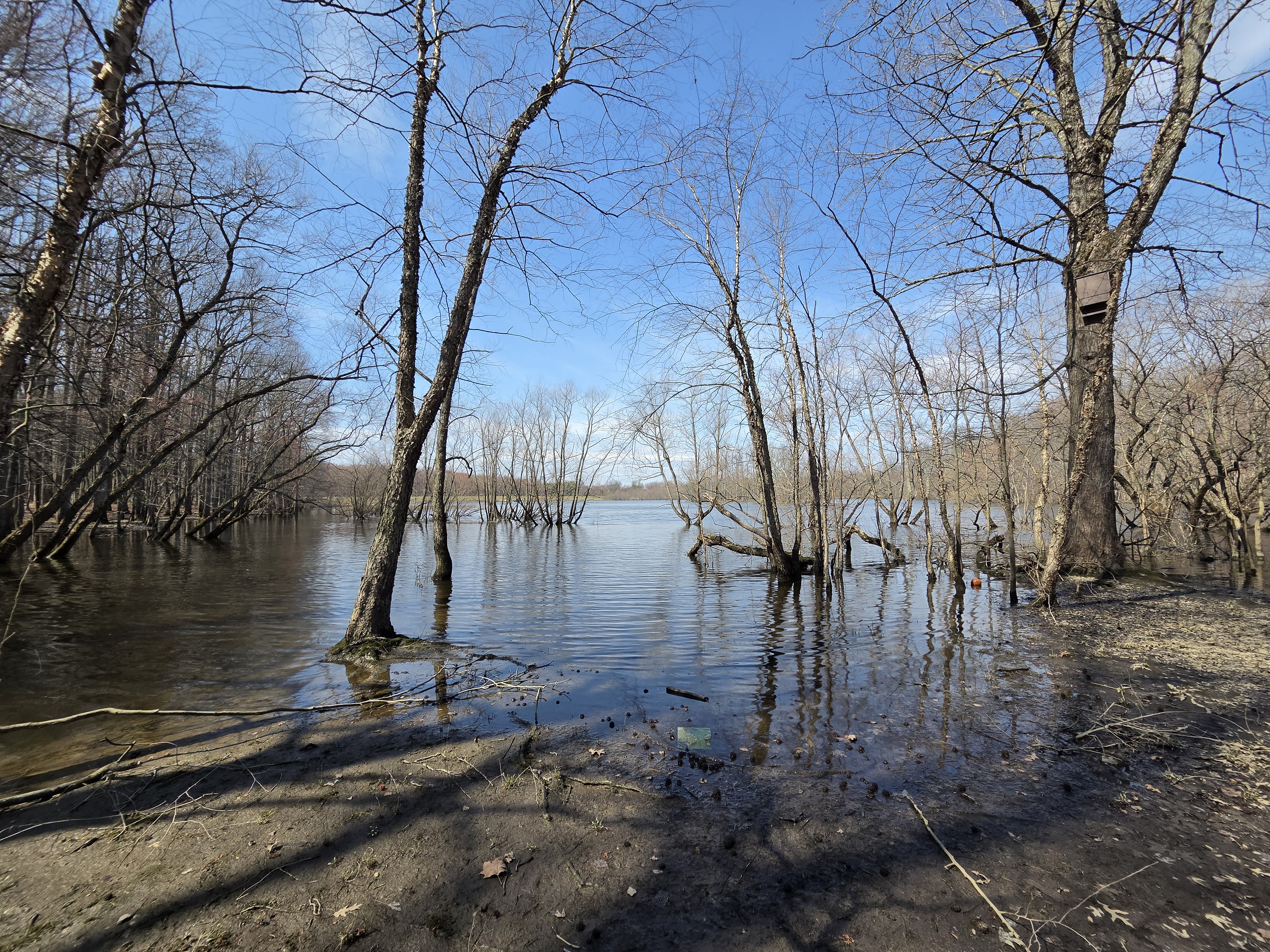 Samsung Galaxy S26 Plus camera samples