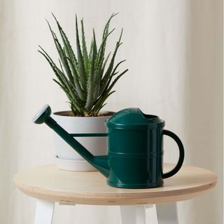 Bloomscape watering can