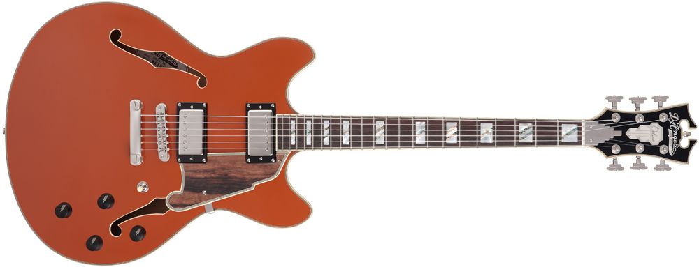 D'Angelico Deluxe DC LE