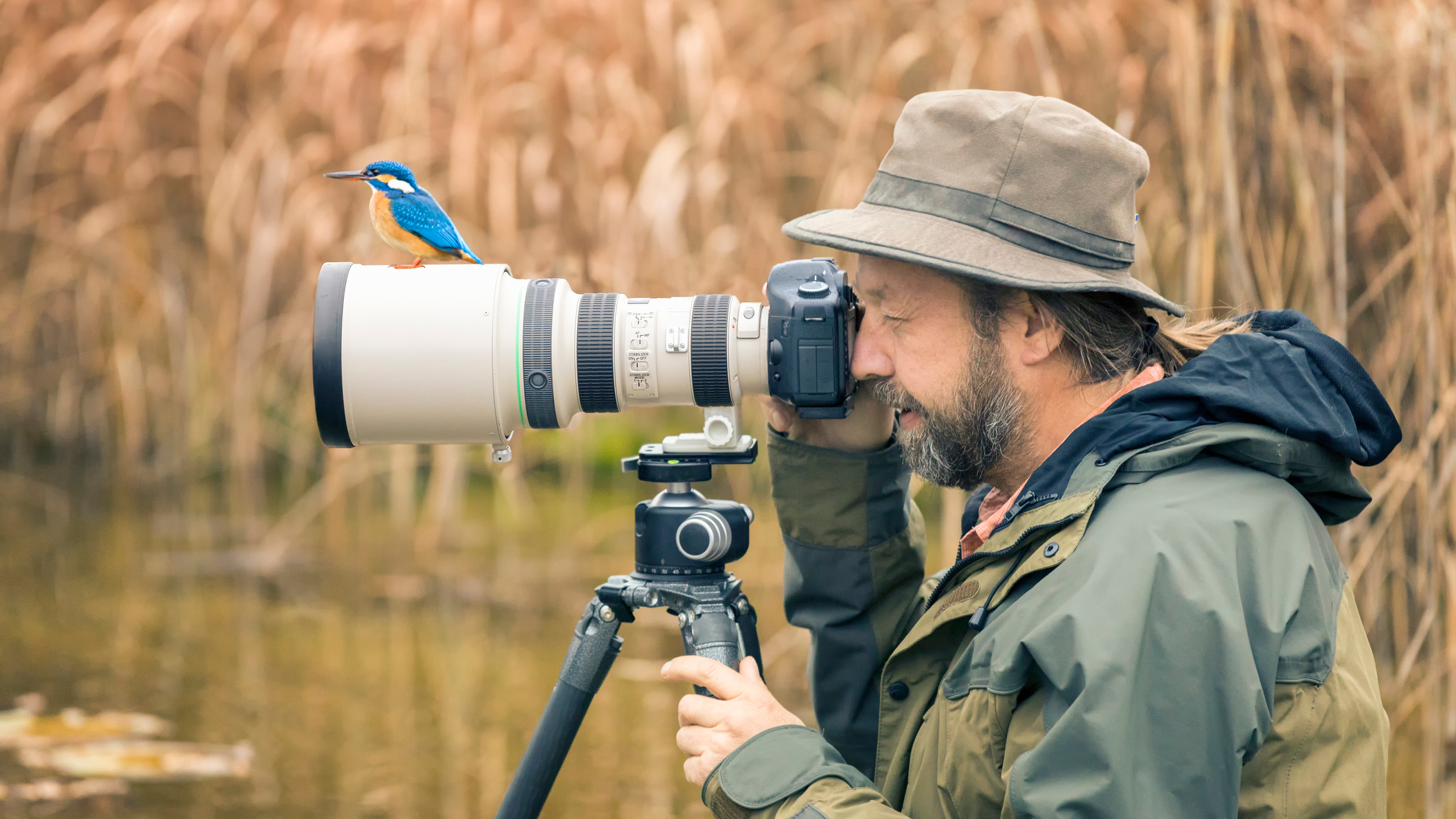Best lenses for bird photography