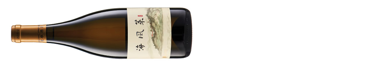 DWWA 2025 winners