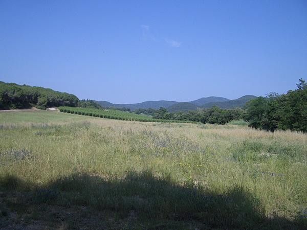 More of that beautiful Tuscan countryside