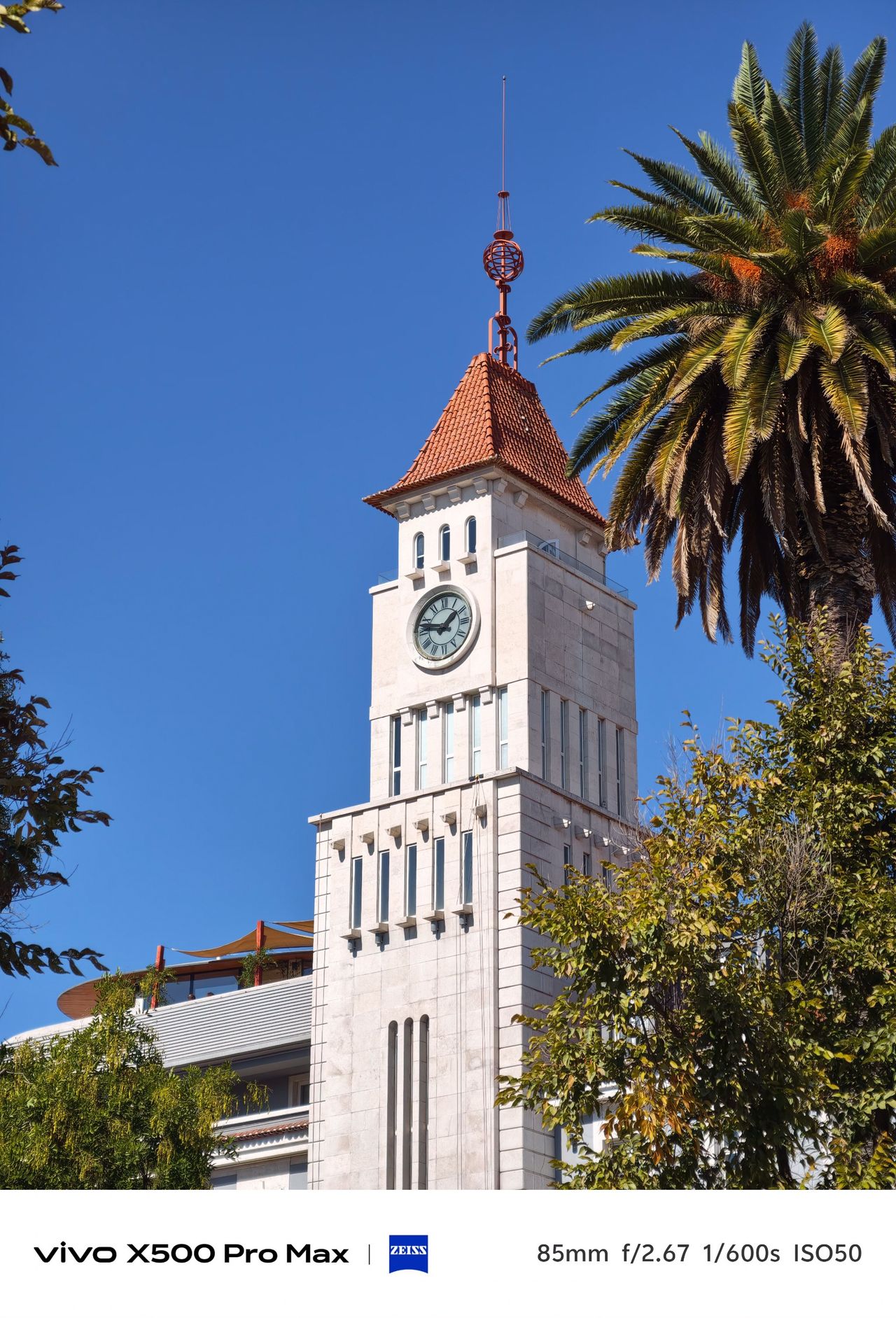 White clock tower framed by a palm tree and other foliage against a deep blue sky.