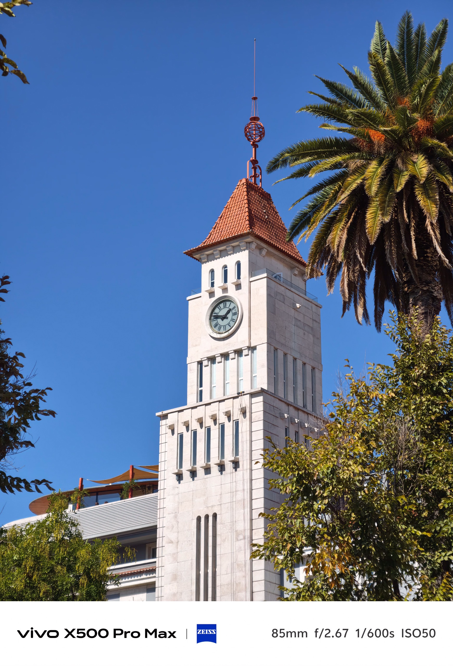 White clock tower framed by a palm tree and other foliage against a deep blue sky.