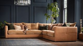 picture of oversized sofa with dog sat on it