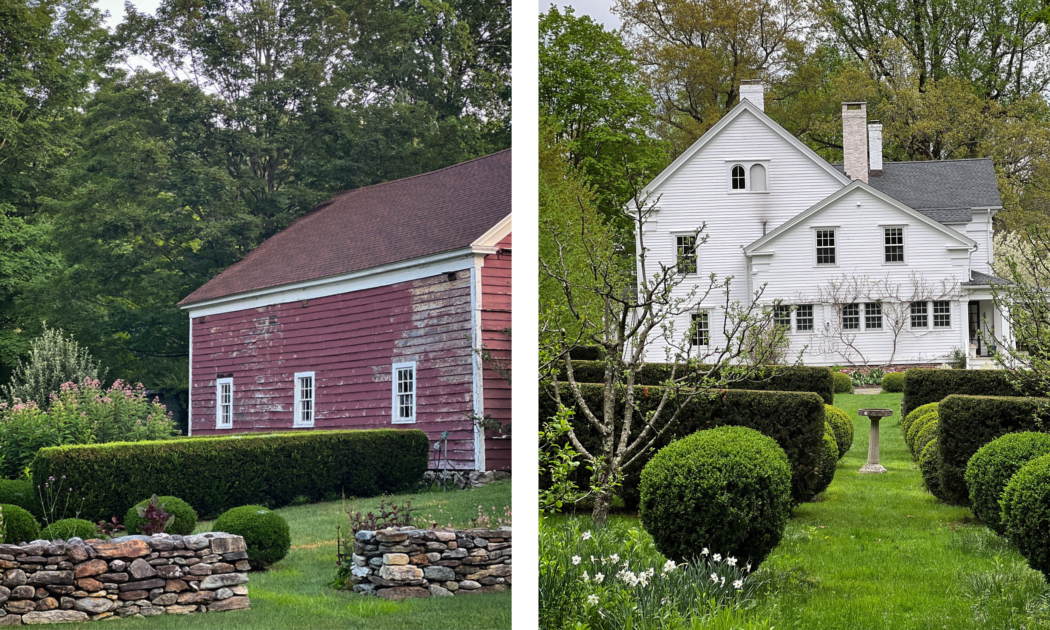Green shrubs and topiary in front of a New England home