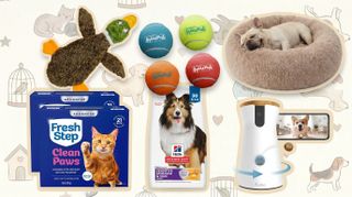 Amazon pet deals