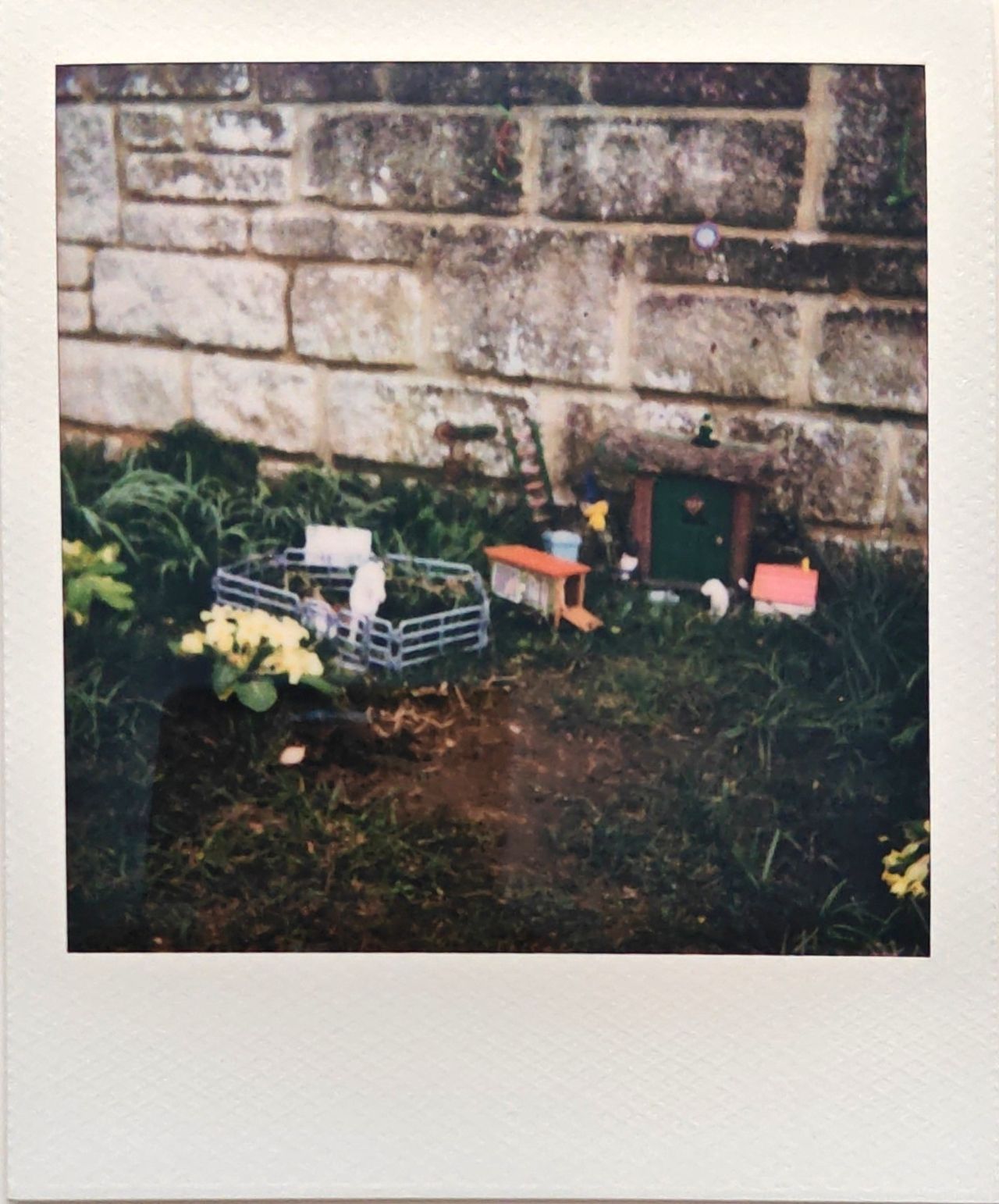 A selection of images captured on the Polaroid Flip instant camera by T3's Sam Cross