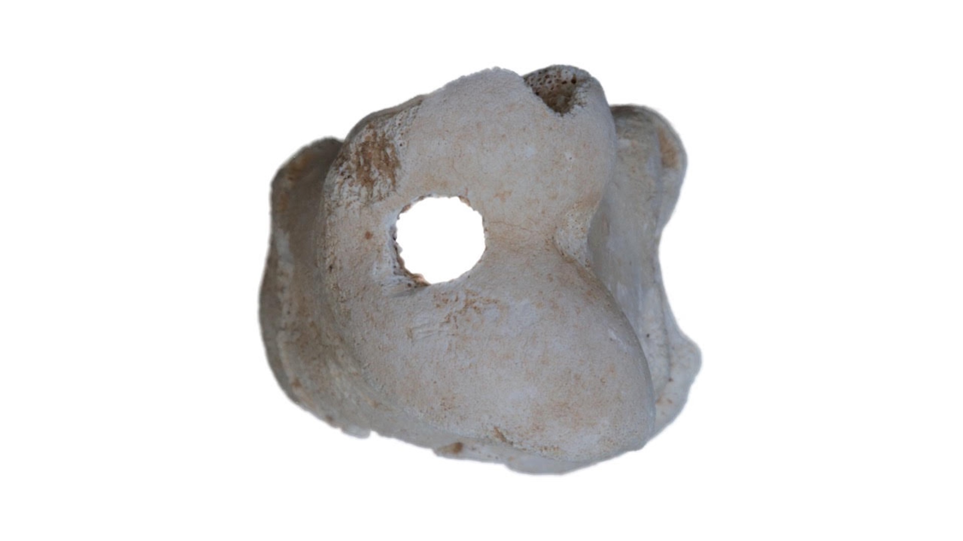 a head-on view of the hole in the bone whistle