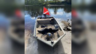Boat with a red flag on side of river with a large fossil inside