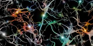 Neuron connections in the brain