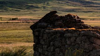 midges swarming outside a ruined building