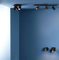 Ascoli Track Light from Lumens