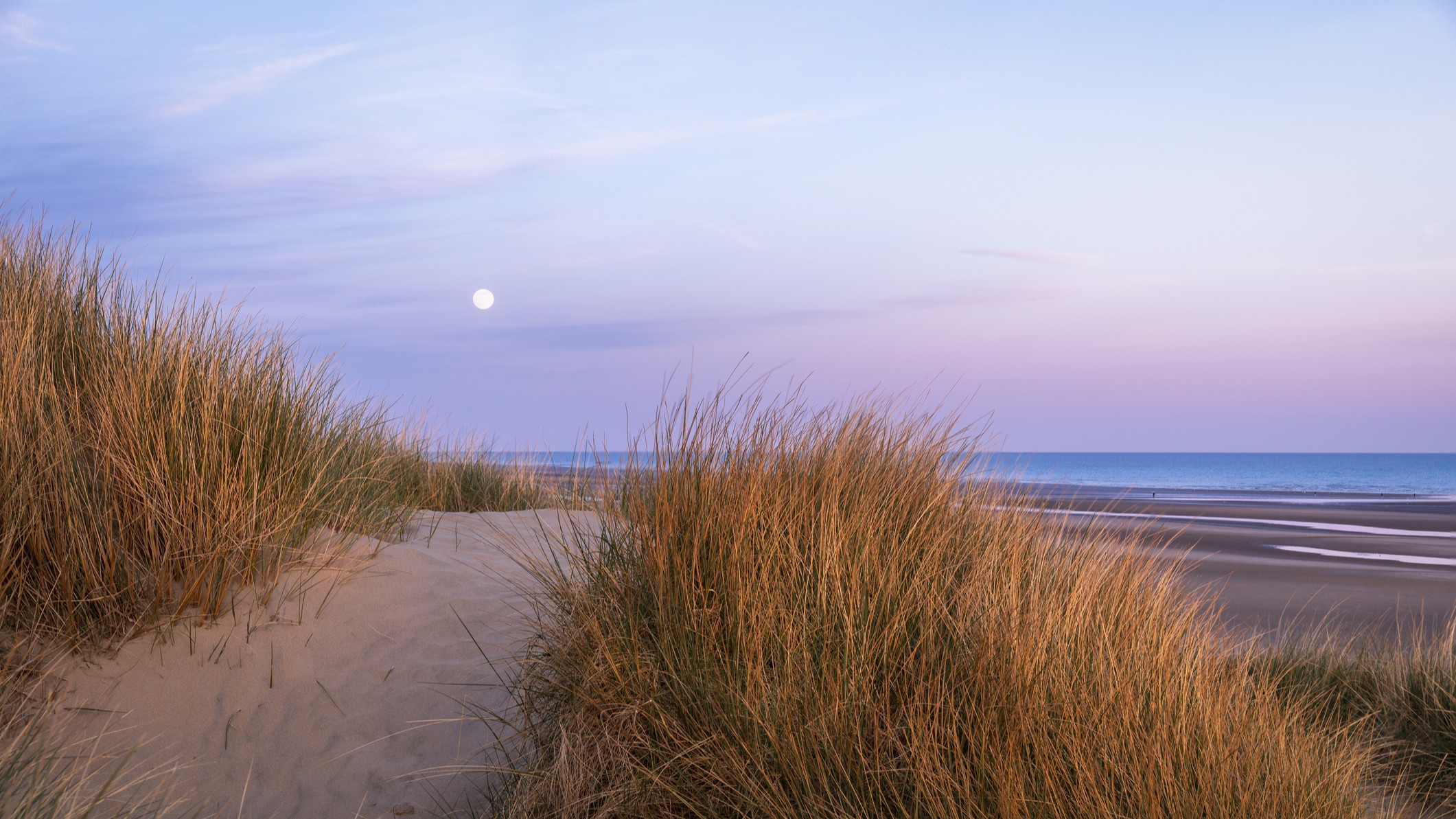 A full moon shines in a dusky pink sky above the sea with sand dunes covered in grass in the foreground.