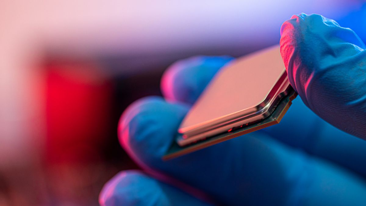 Person holding a processor in gloved hands.