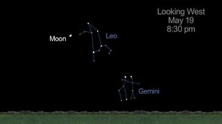 Leo Gemini Constellations
