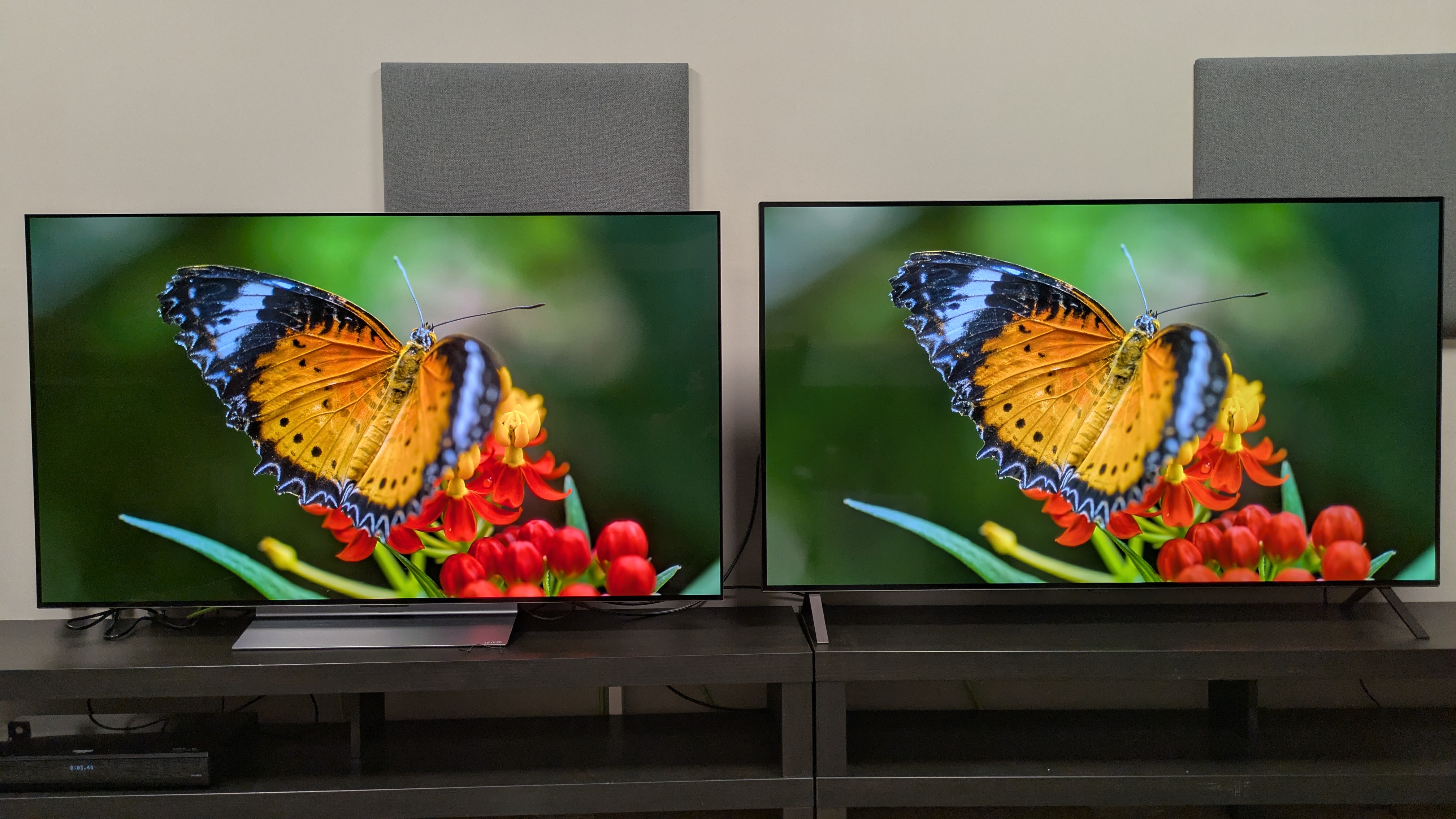 LG C5 (left) and LG B5 (right) showing orange butterfly on screen