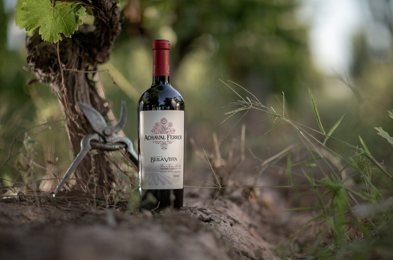 A bottle of Bella Vista Malbec in a vineyard