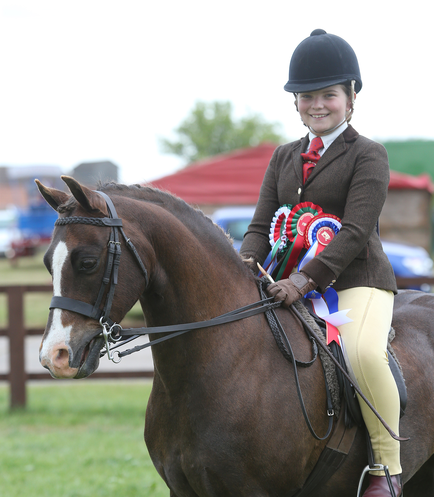 Annandale Motivator with his owner Kara Arnold back in 2017.