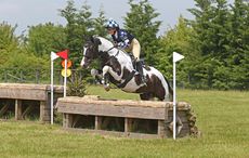 03MW2180-Debbi-Cox-Molly.jpg