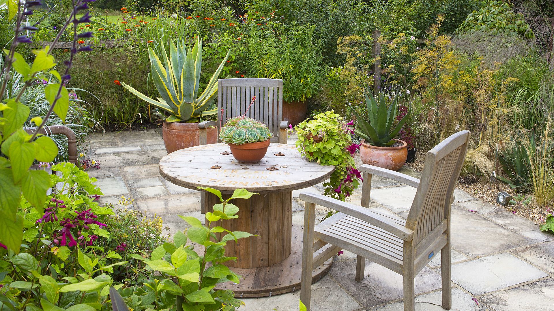 Dramatic succulents, pelargoniums and agaves make this sunny outdoor seat surrounded by ornamental grasses, salvias and tithonies interesting