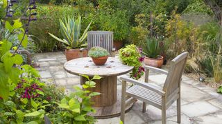 Dramatic succulents, pelargoniums and agaves add interest to this sunny outdoor seating spot, surrounded by ornamental grasses, salvias and tithonias