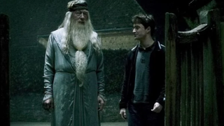 Harry and Dumbledore after apparating in Harry Potter and the Half-Blood Prince.