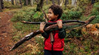 Smiling boy looking away while carrying firewood in forest - stock photo