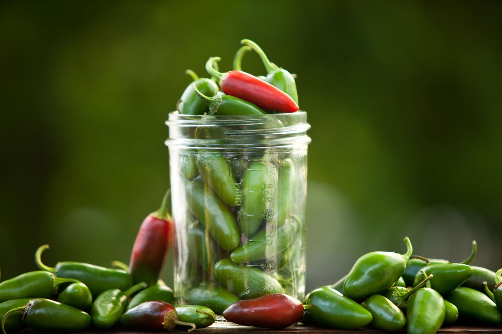 Jalapenos Not Getting Hot - How To Get Hot Jalapeno Peppers | Gardening