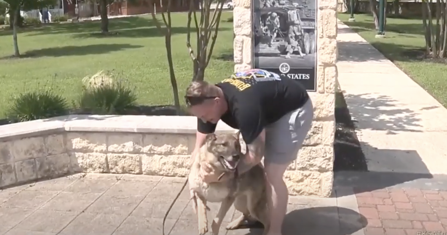 Army sergeant has sweet reunion with his military dog after 2 years ...