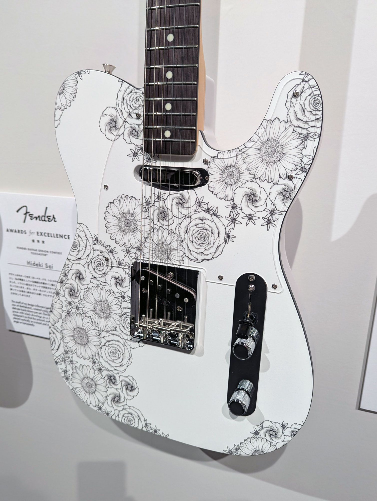 Awards for Excellence: Hideki Sai