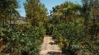 The botanical gardens in Puerto Vallarta, Mexico