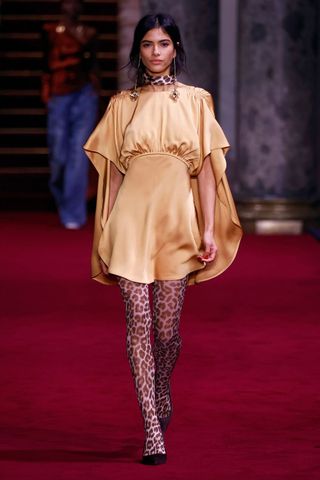 Zimmermann AW24 satin mini and leopard print tights GettyImages-2058084815