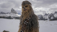   Chewbacca