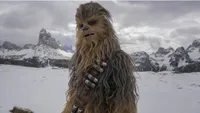   Chewbacca