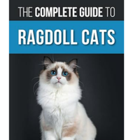 The Complete Guide To Ragdoll Cats | Amazon