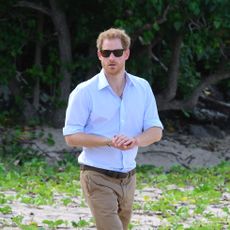 st kitts, saint kitts and nevis november 23 prince harry visits the nevis turtle conservation project on lovers beach on the fourth day of an official visit on november 23, 2016 in nevis, saint kitts and nevice prince harrys visit to the caribbean marks the 35th anniversary of independence in antigua and barbuda and the 50th anniversary of independence in barbados and guyana photo by poolsamir husseinwireimage