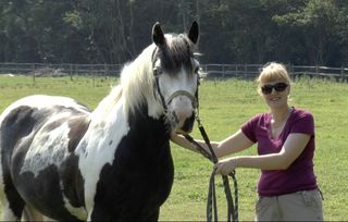 jennifer wathan with bartle the horse