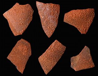 Eggshell fragments from a birdlike dinosaur that lived during the Late Cretaceous of China.