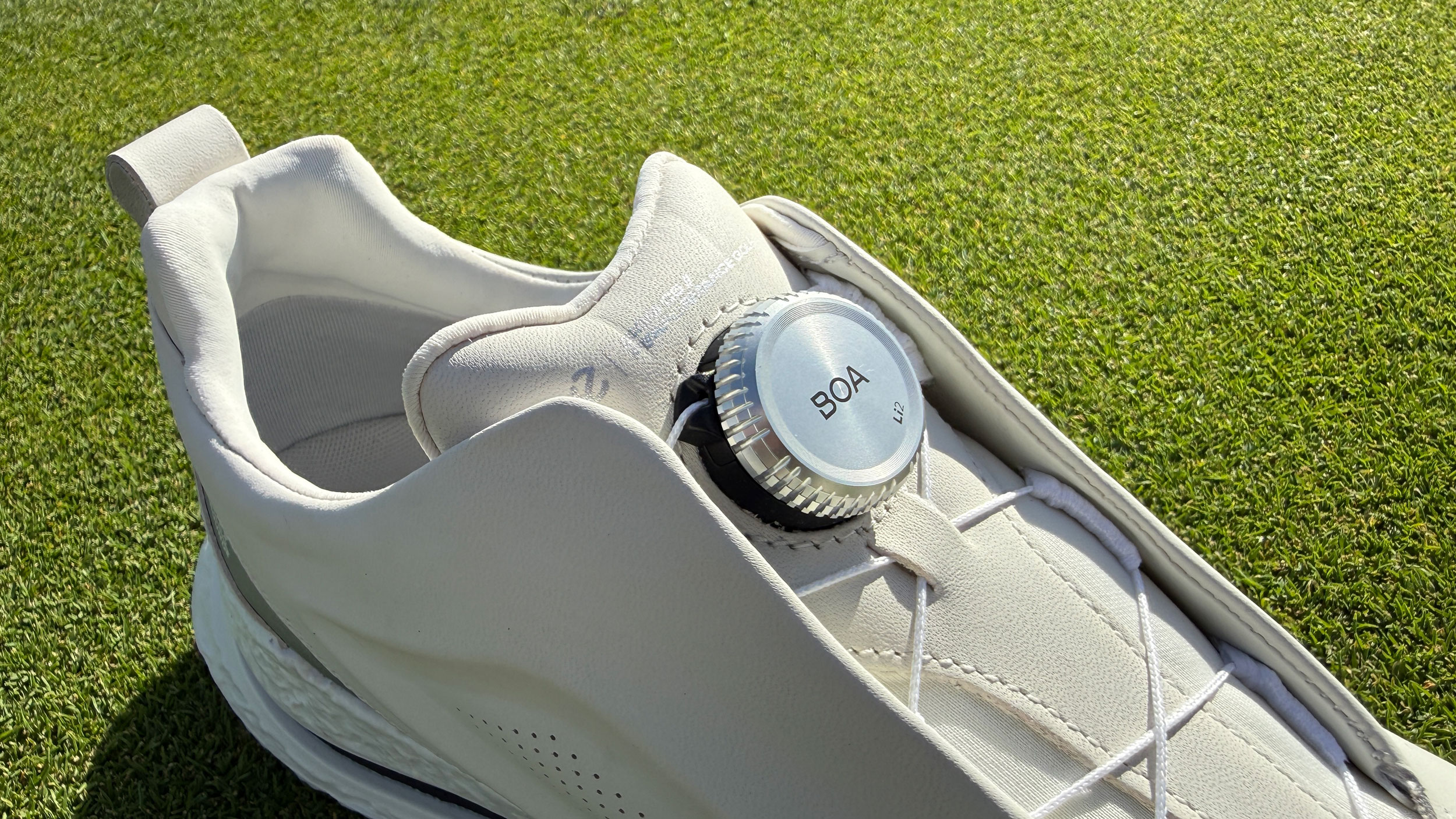Ecco BOA golf shoe